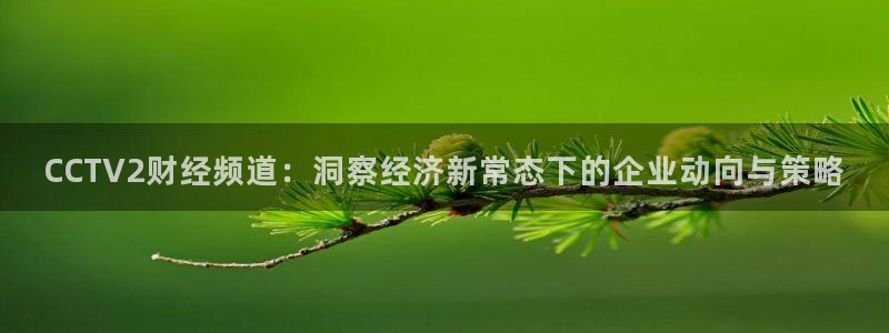 鲸鱼体育直播app官网下载：CCTV2财经频道：洞察经济新常态下的企业动向与策略